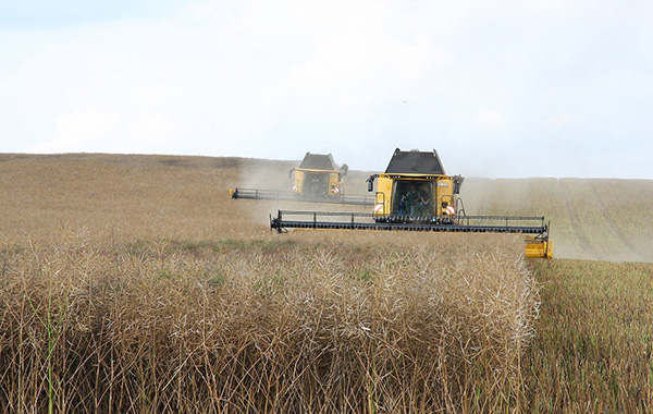 Querfeldein. Eine Filmreihe zur Landwirtschaft