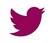 twitter_icon