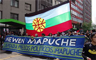 newen mapuche